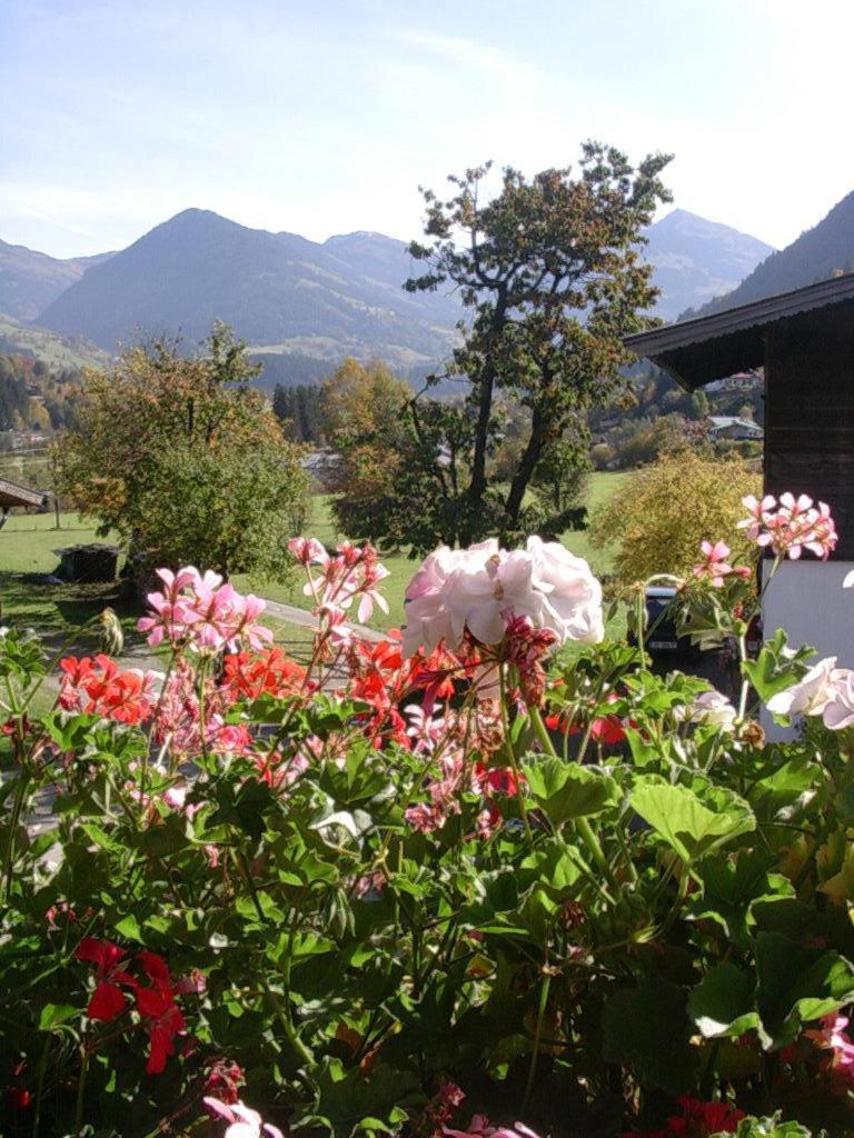キッツビュール Malernhof Bed & Breakfast エクステリア 写真